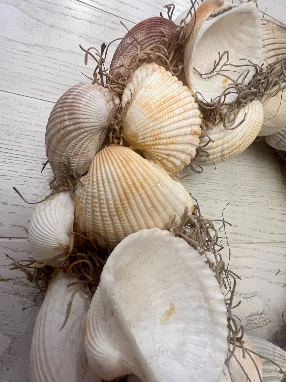 Handmade Seaside Shell Wreath - Natural White & Cream- 12”